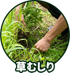 草むしり