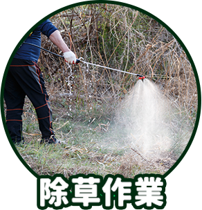 除草作業